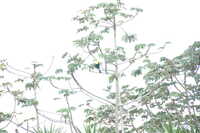  2007-12-10 13.20.52.JPG 